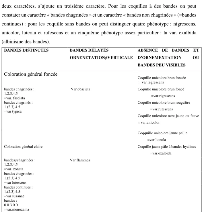 Tableau N°04 : composantes des phénotypes de coloration de la coquille de aspersa. 