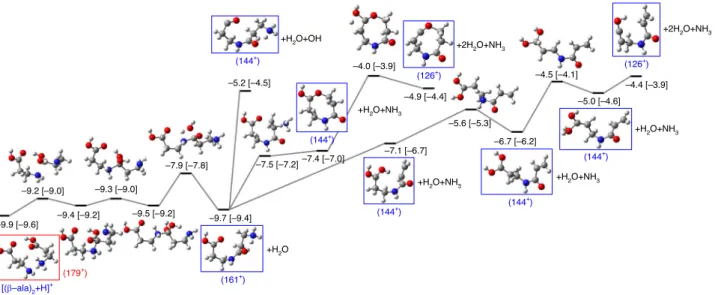 Fig. 2 Potential energy surface exploration of the singly charged protonated dimer. Fragmentation pathways starting from the singly charged protonated dimer ( m / z = 179) showing the formation of the dipeptide ( m / z = 161, noted 161 + ) and fragments ( 