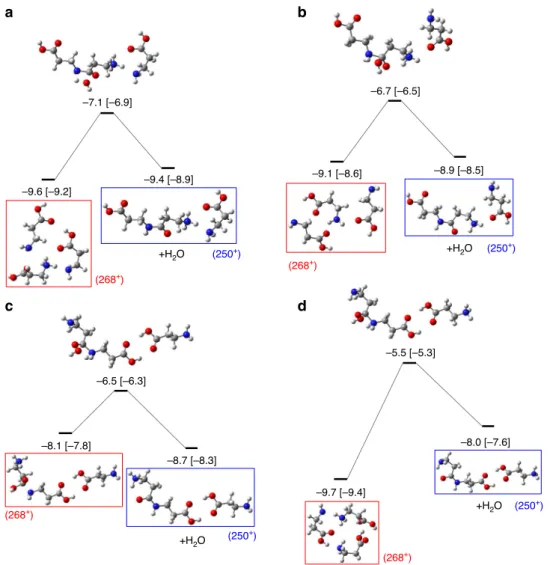 Fig. 5 Potential energy surface exploration of the singly charged protonated trimer. Determining steps of dipeptide formation starting from different initial N -protonated trimer systems ( m / z = 268), shown in red boxes, and leading to a N -protonated di