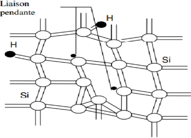 Figure 1.15 : Structure du silicium amorphe hydrogéné. 