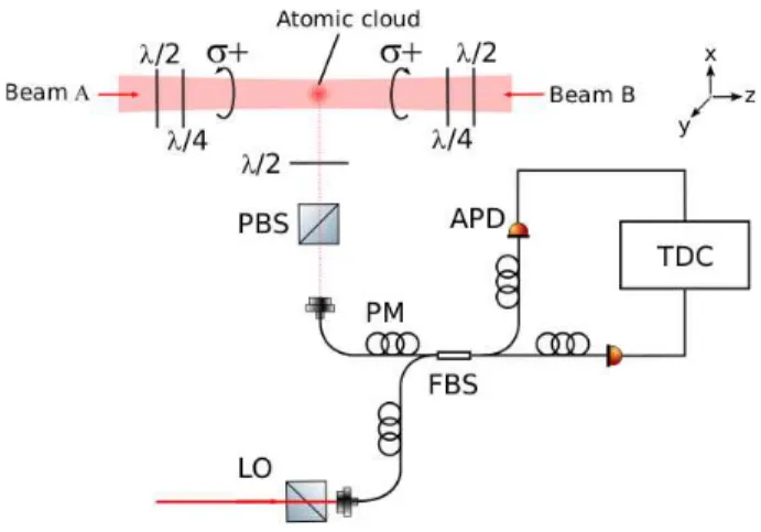 FIG. 1. Experimental setup. Two counter-propagating laser beams (beams A and B) illuminate a cold atomic cloud