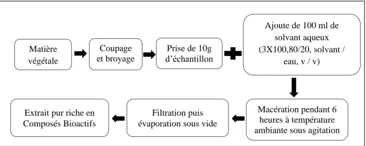 Figure 7.Etapes d’extraction des composés phénoliques par macération. 