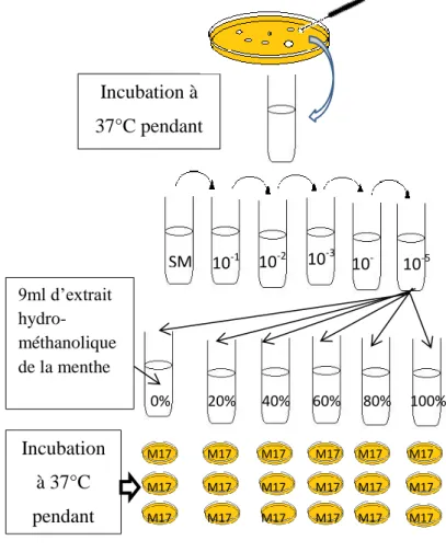 Figure 9. Méthode de contact direct. 