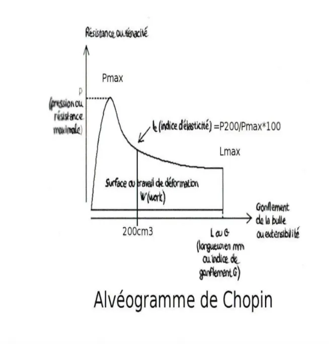 Figure n° 02 :    Alvéogramme de Chopin 
