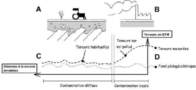 Figure 4. Contamination diffuse et locale (Pereira et Sonnet, 2007). 
