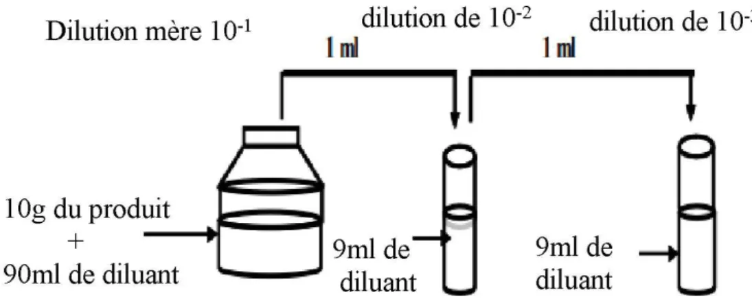Figure  4:Préparation des dilutions décimales 