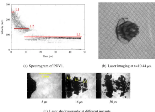 Fig. 10. Shot S17 – 0.75 mm – 4 TW/cm 2 . Laser imaging and shadowgraphy at different instants and debris velocity recorded by PDV