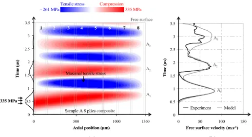 FIG. 3. Comparison between experimental and computed velocity at the Aluminum/PMMA interface ( ABAQUS # simulation, mesh size 10 lm, step time 2 ns).