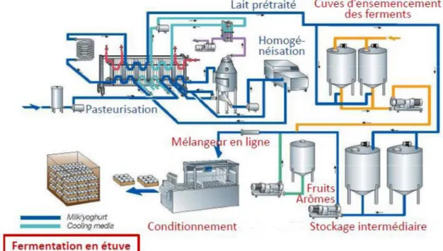 Figure 02 : Diagramme de fabrication du yaourt ferme (Bylund, 1995). 