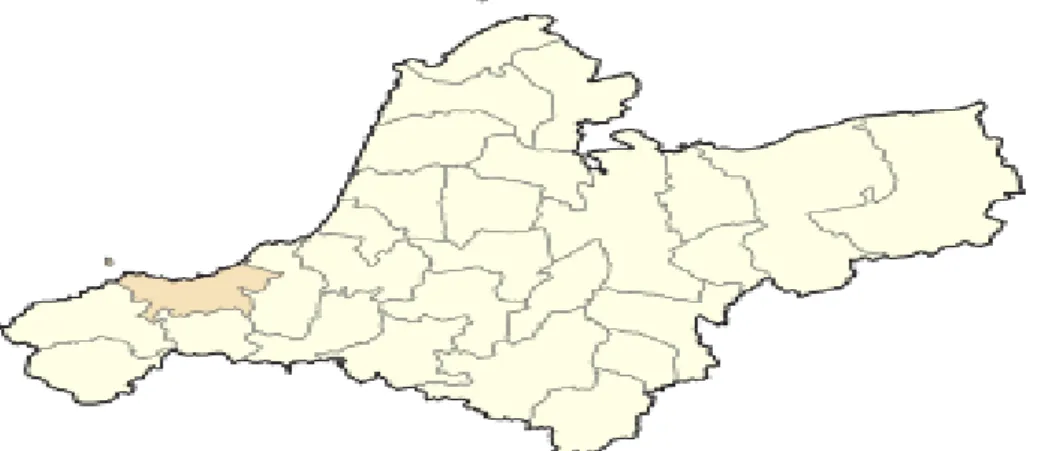 Figure 7 : Localisation du site de prélèvement du Marrubium vulgare dans la wilaya d'Aïn  Témouchent (https://fr.wikipedia.org/wiki/Béni_Saf) 