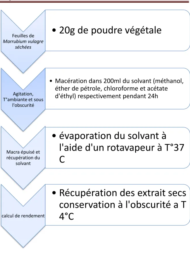 Figure 9 : Protocole d’éxtration des composées phénoliques de Marrubium vulgare  (Diallo et al., 2004 ; Falleh et al.,2008) 