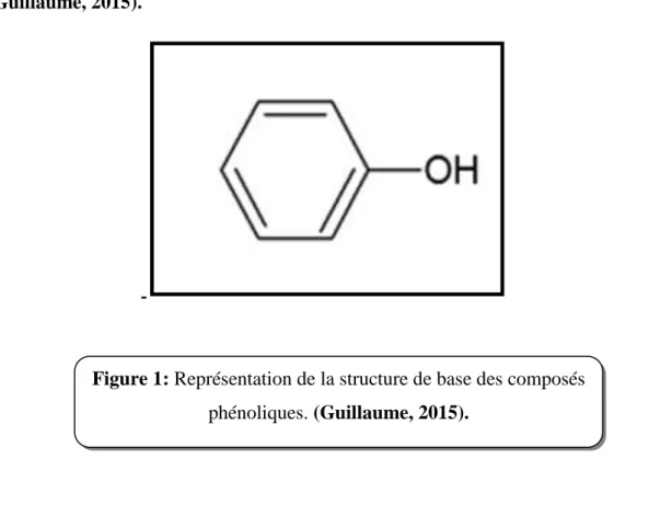 Figure 1: Représentation de la structure de base des composés      phénoliques. (Guillaume, 2015)