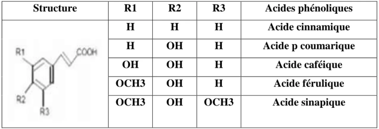 Tableau 2: Principaux acides hydroxy-cinnamiques (Hassin Boukal, 2015).