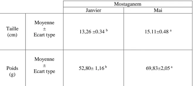 Tableau 11 : paramètres morpho métriques des échantillonnées de sardine. 