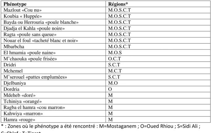 Tableau 1 : Phénotypes des poulets du Nord-Ouest Algérien (Halbouche et al 2009).