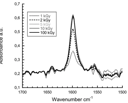 Figure 7. Zoom in the range of 1500 cm -1  and 1700 cm -1  of FTIR spectra in transmission mode of PVDF-g-P4VP films after e-beam irradiation at various doses: 1 kGy, 2 kGy, 5 kGy 10 kGy and 100 kGy.