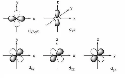 Figure I.3: Représentation spatiale des cinq orbitales d. 
