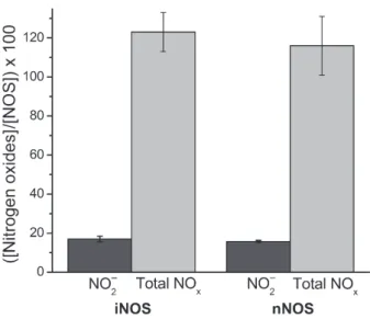 Fig. 6. Alternative mechanisms for ferrous heme–NO oxidation. In hemoglobin (Hb) and myoglobin (Mb), the observed rates of Fe II – NO oxidation are similar to those of Fe II –NO dissociation