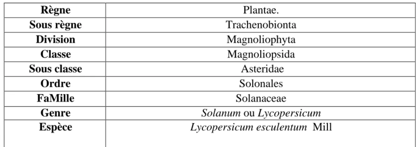 Tableau 3.Classification botanique de la tomate 