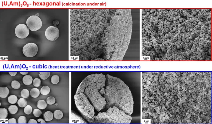 Figure 4 : FEG-SEM micrographs in secondary electron mode showing oxidized and reduced  microspheres