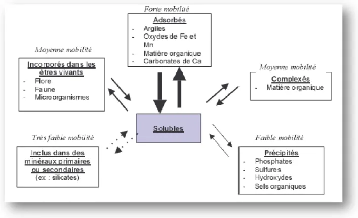 Fig. 2 : Localisation (spéciation) des éléments en traces métalliques (ETM) dans le sol    ( Prassad, 2004)