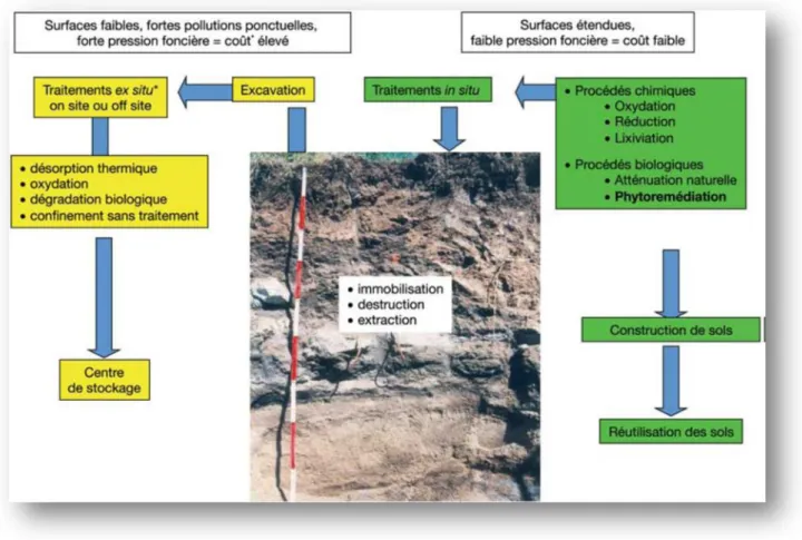 Fig .5 : Les différentes stratégies de remédiation des sols pollués. (Énergie, ressources  naturelles, impacts)