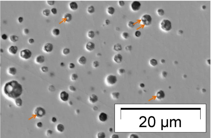Figure 4 secondary electron image of the bubbles and the precipitates they contain (indicated by an  arrow for some of them)