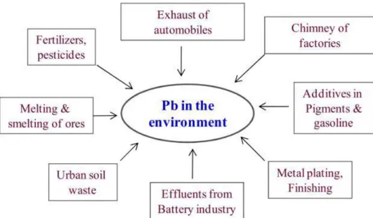 Figure 02: Sources anthropiques de la pollution en plomb (Sharma et Dubey, 2005). 