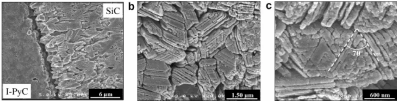 Fig. 7. SEM micrographs of SiC etched for 60 min (a) polished section perpendicular to the  plane of deposition showing columnar grains; (b) and (c) sections parallel to the plane of  deposition showing planar faults