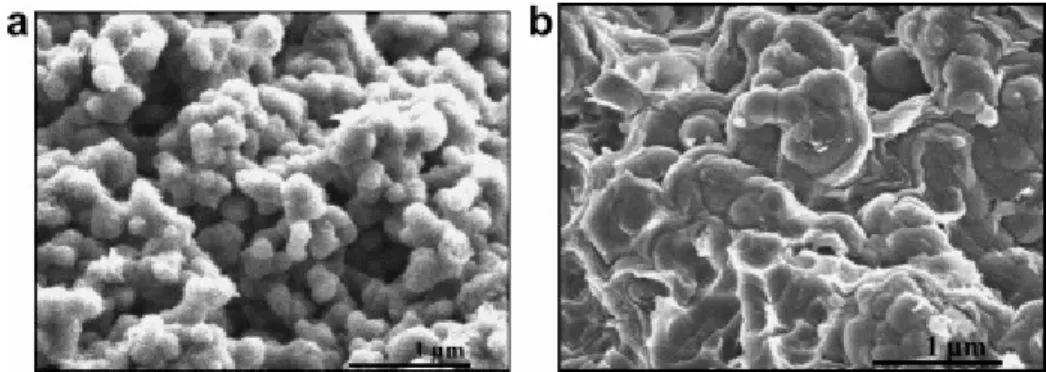 Fig. 2. Fracture surfaces observed by SEM of (a) the buffer and (b) the dense I-PyC. 