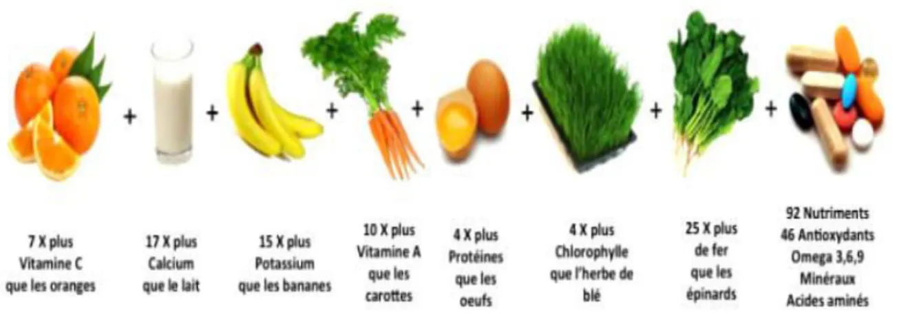 Fig. 13: Valeurs nutritives  des feuilles du Moringa Oleifera L. (Fahey, 2005). 