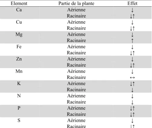 Tableau  3  :  Effets  du  plomb  sur  la  concentration  en  éléments  minéraux  des  parties  aériennes et racinaires (Pourrut, 2008)