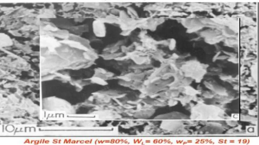 Figure I.1 : Argile naturelle (image MEB) 