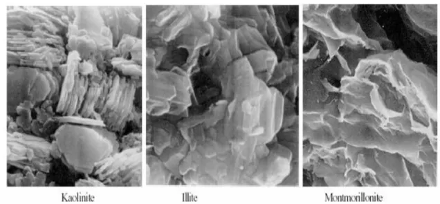 Figure I.3 : Photographies au Microscope Electronique à Balayage des argiles (Mitchell &amp; 