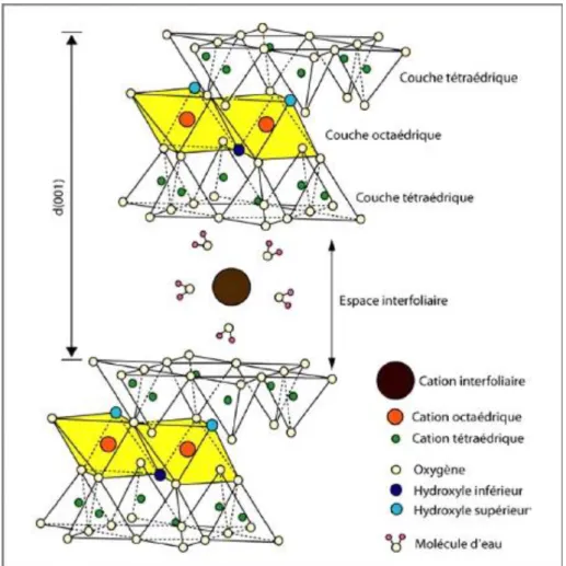 Figure I. 6 : Représentation de la structure d’une  montmorillonite (Grim, 1968). 