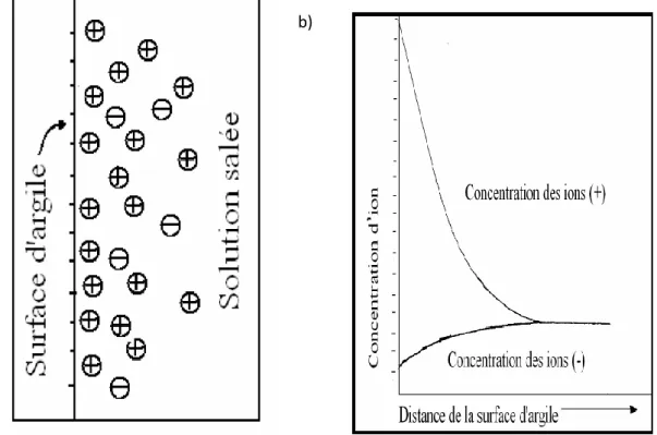 Figure I.8: a) Structure de la double couche électrique diffuse (DDL) adjacente à une  surface  d'argile  et  b)  répartition  potentielle  des  cations  et  des  anions  à  partir  de  la  surface de l'argile (Alshawabkeh, 2001)