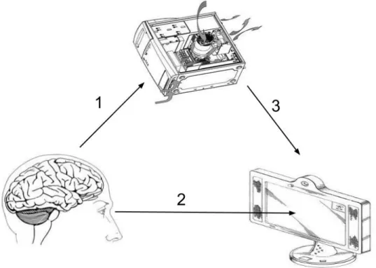 Figure 1: Principle of a Brain Computer Interface (BCI) based on Evoked Related Potentials (ERPs): 