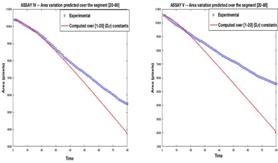 Figure 6. The curves show the area of the wound depending on time for inhibited se- se-quences IV and V respectively.