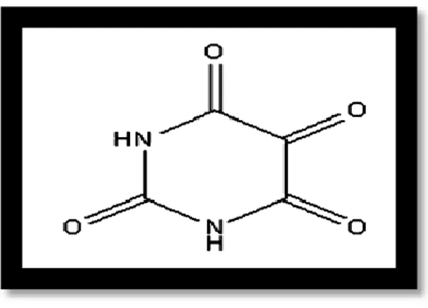 Figure 4 : Structure chimique de l’alloxane (Lenzen, 2008) 