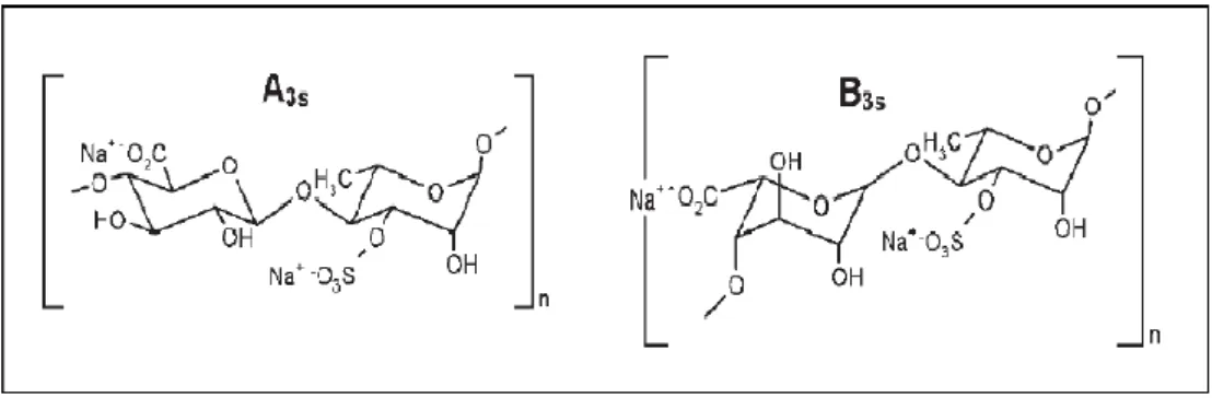 Figure 6 : Structure chimique des principaux disaccharides composés d’une répétition d’acide  ulvano-biuronique A3s et B3s (Robic et al., 2009)