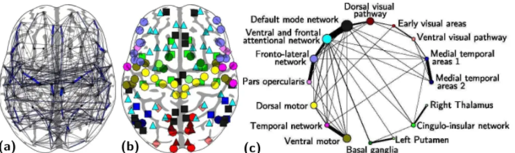 Fig. 2. (a) Functional connectivity learned with population-sparse inverse covariance;