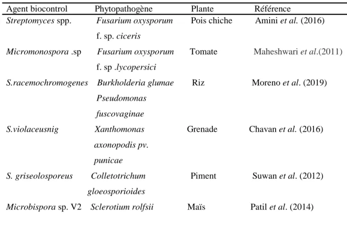 Tableau 03 : Activités de biocontrôle de certaines souches actinobactériennes. 