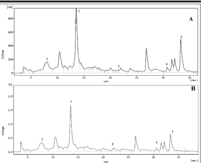 Figure 19  :  Chromatogrammes de l‟analyse HPLC des extraits de l‟écorce de grenade A)  Extrait ethanolique B) Extrait méthanolique