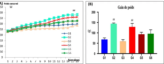 Figure 21 : Evolution du poids corporel (A) et le gain de poids (B) des rats pendant 16     semaines d‟expérimentation 