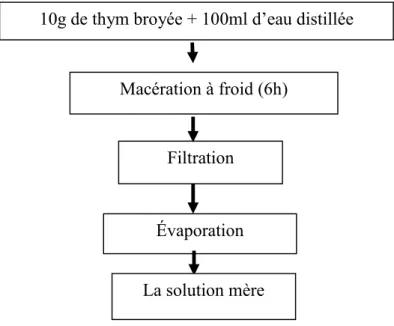 Figure 07.  Diagramme de l’extraction. 