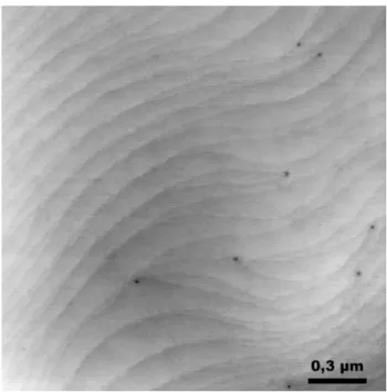 Figure  3-2 : microscopie à force atomique d’un film de GaN obtenu par le traitement Si/N 