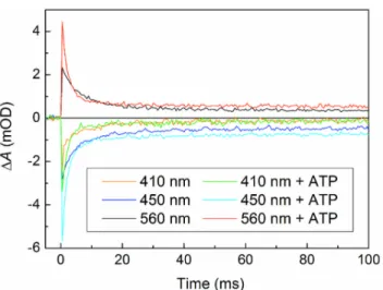 Figure 5 | Effects of ATP and pH on the absorption spectrum of FAD ox in AtCRY1 PHR. (a) Spectral change with increasing concentration of ATP (corrected for dilution due to the addition of ATP solution)