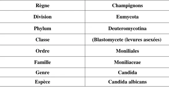 Tableau 02 .classification botanique de Candida albicans(Browser, 2007) 
