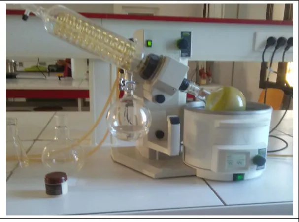 Figure 3. Rotavapor 