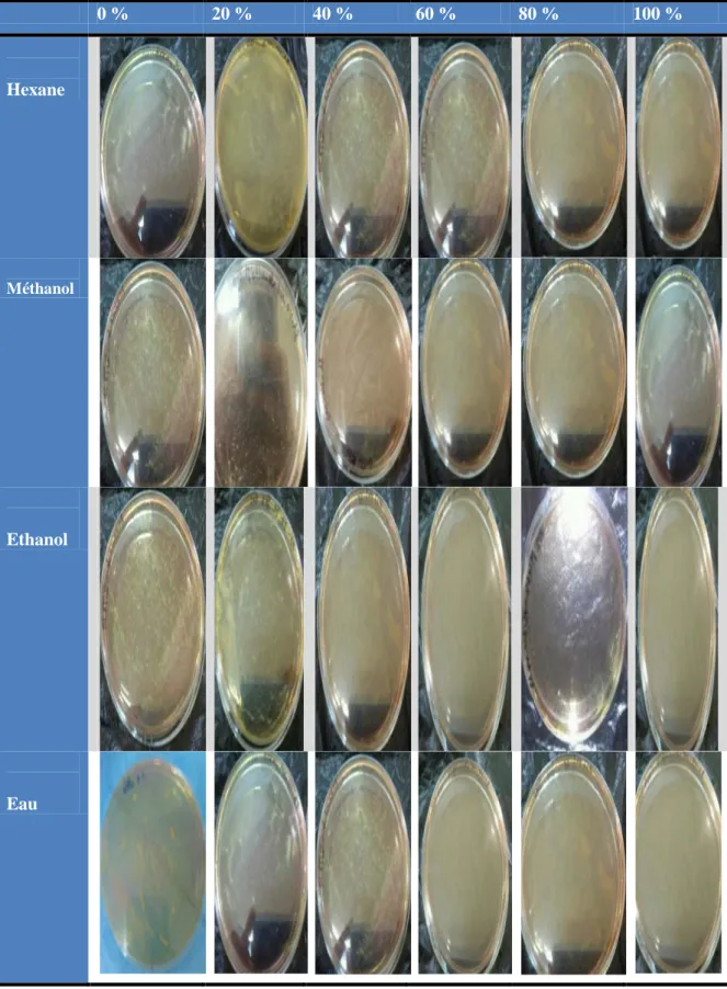 Figure  5.  Effets des extraits aux solvants à différentes polarités de Rosmarinus  officinalis de Naama chez Staphylococcus aureus